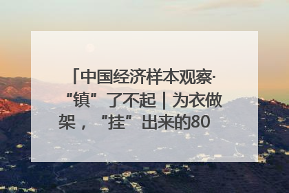 中国经济样本观察·“镇”了不起｜为衣做架，“挂”出来的80亿元“衣架产业”
