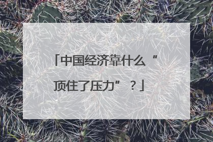 中国经济靠什么“顶住了压力”？