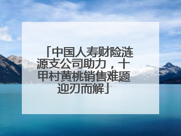 中国人寿财险涟源支公司助力,十甲村黄桃销售难题迎刃而解