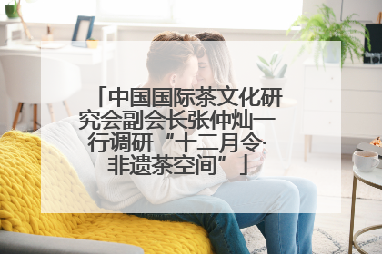 中国国际茶文化研究会副会长张仲灿一行调研“十二月令·非遗茶空间”