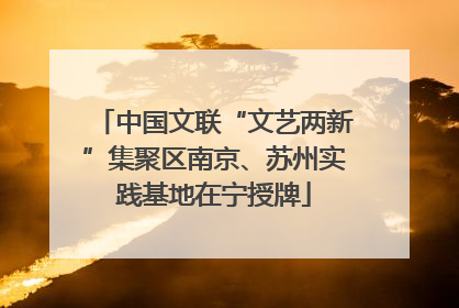 中国文联“文艺两新”集聚区南京、苏州实践基地在宁授牌