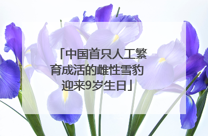中国首只人工繁育成活的雌性雪豹迎来9岁生日