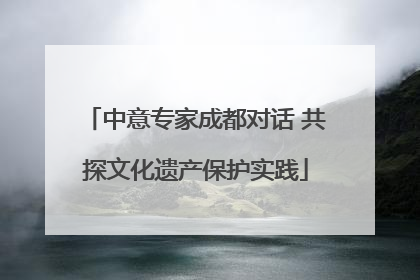 中意专家成都对话 共探文化遗产保护实践