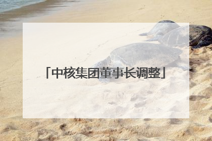 中核集团董事长调整