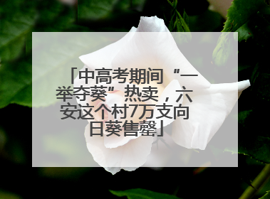中高考期间“一举夺葵”热卖，六安这个村7万支向日葵售罄