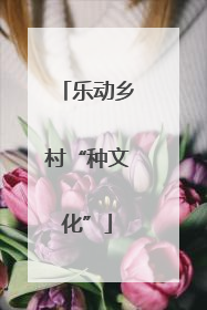 乐动乡村“种文化”