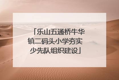 乐山五通桥牛华镇二码头小学夯实少先队组织建设