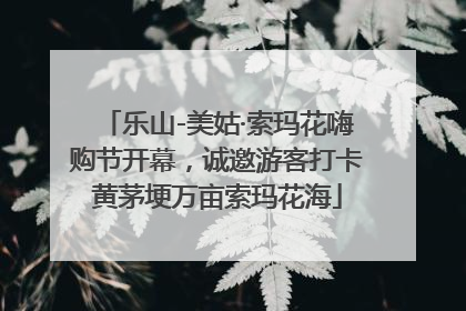 乐山-美姑·索玛花嗨购节开幕，诚邀游客打卡黄茅埂万亩索玛花海