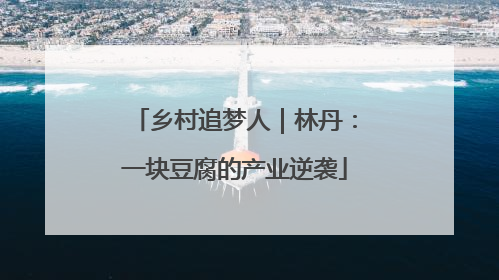 乡村追梦人｜林丹：一块豆腐的产业逆袭