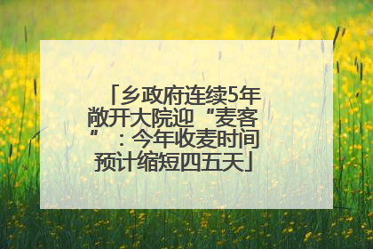乡政府连续5年敞开大院迎“麦客”：今年收麦时间预计缩短四五天