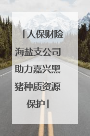人保财险海盐支公司助力嘉兴黑猪种质资源保护