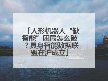 人形机器人“缺智能”困局怎么破？具身智能数据联盟在沪成立
