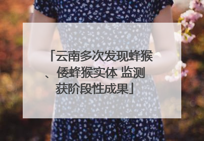 云南多次发现蜂猴、倭蜂猴实体 监测获阶段性成果