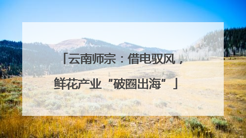 云南师宗：借电驭风，鲜花产业“破圈出海”