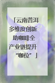 云南普洱多维度创新 助咖啡全产业链提升“咖位”