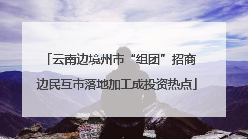 云南边境州市“组团”招商 边民互市落地加工成投资热点