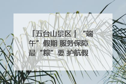 五台山景区｜“端午”假期 服务保障最“粽”要 护航假期“不打烊”