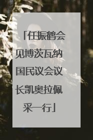 任振鹤会见博茨瓦纳国民议会议长凯奥拉佩采一行