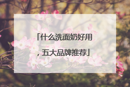 什么洗面奶好用，五大品牌推荐
