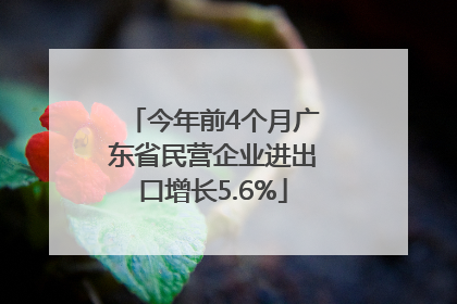 今年前4个月广东省民营企业进出口增长5.6%