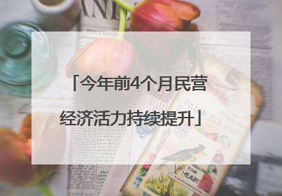 今年前4个月民营经济活力持续提升