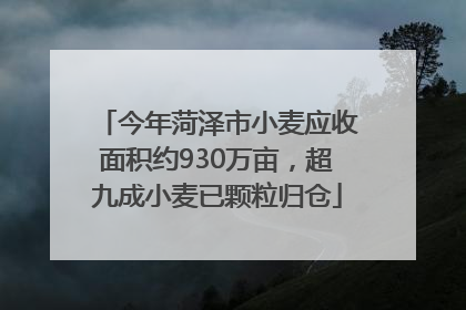 今年菏泽市小麦应收面积约930万亩，超九成小麦已颗粒归仓