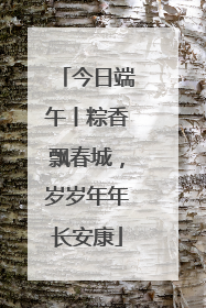 今日端午丨粽香飘春城，岁岁年年长安康