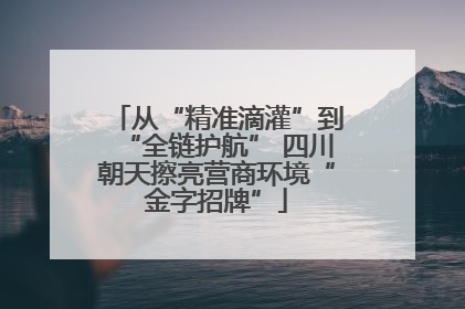 从“精准滴灌”到“全链护航” 四川朝天擦亮营商环境“金字招牌”