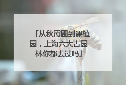 从秋霞圃到课植园，上海六大古园林你都去过吗