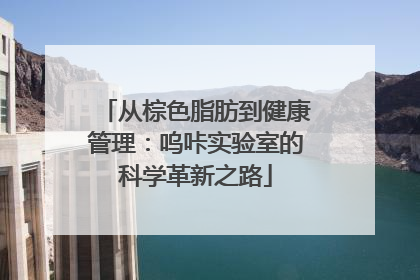 从棕色脂肪到健康管理：呜咔实验室的科学革新之路