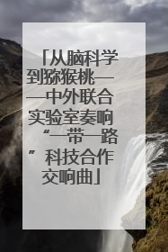 从脑科学到猕猴桃——中外联合实验室奏响“一带一路”科技合作交响曲