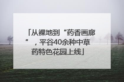 从裸地到“药香画廊”，平谷40余种中草药特色花园上线