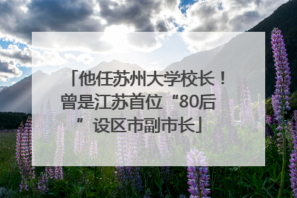 他任苏州大学校长！曾是江苏首位“80后”设区市副市长