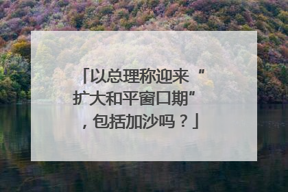 以总理称迎来“扩大和平窗口期”，包括加沙吗？