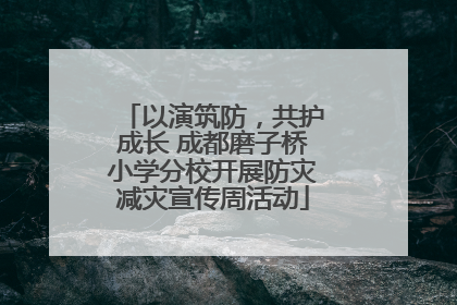 以演筑防，共护成长 成都磨子桥小学分校开展防灾减灾宣传周活动