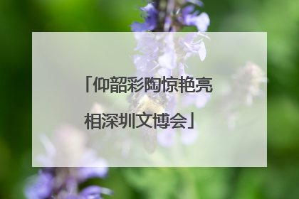 仰韶彩陶惊艳亮相深圳文博会