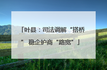 叶县：司法调解“搭桥” 稳企护商“路宽”