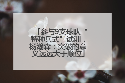 参与9支球队“特种兵式”试训，杨瀚森：突破的意义远远大于顺位