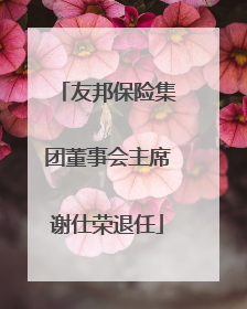 友邦保险集团董事会主席谢仕荣退任