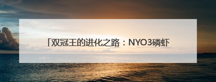 双冠王的进化之路：NYO3磷虾油蝉联全球领先背后的战略密码