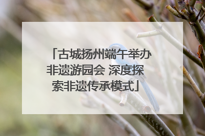 古城扬州端午举办非遗游园会 深度探索非遗传承模式
