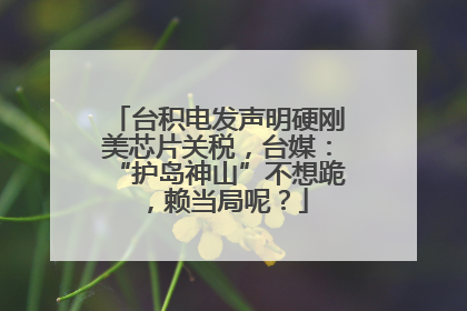 台积电发声明硬刚美芯片关税，台媒：“护岛神山”不想跪，赖当局呢？