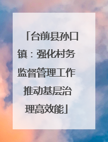 台前县孙口镇：强化村务监督管理工作 推动基层治理高效能