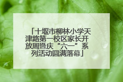 十堰市柳林小学天津路第一校区家长开放周暨庆“六一”系列活动圆满落幕
