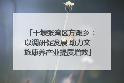 十堰张湾区方滩乡：以调研促发展 助力文旅康养产业提质增效