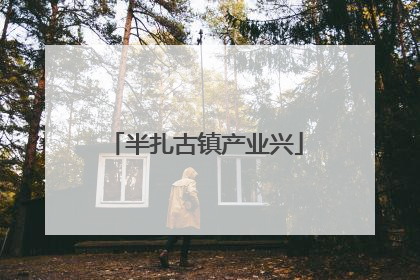 半扎古镇产业兴