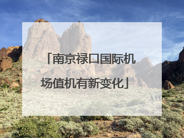 南京禄口国际机场值机有新变化
