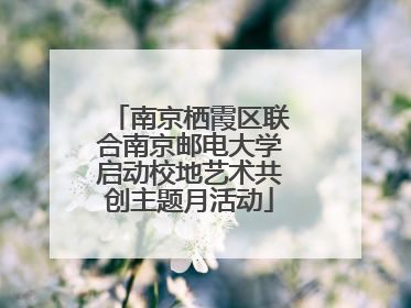 南京栖霞区联合南京邮电大学启动校地艺术共创主题月活动