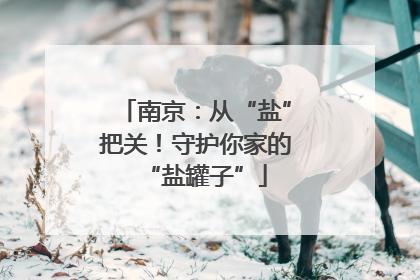 南京：从“盐”把关！守护你家的“盐罐子”