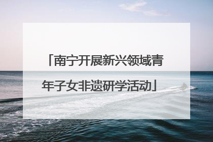 南宁开展新兴领域青年子女非遗研学活动